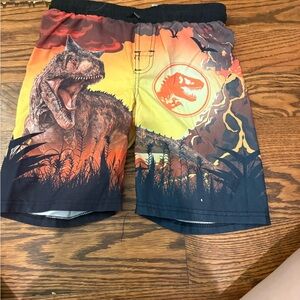 Dinosaur Graphic Swim Shorts